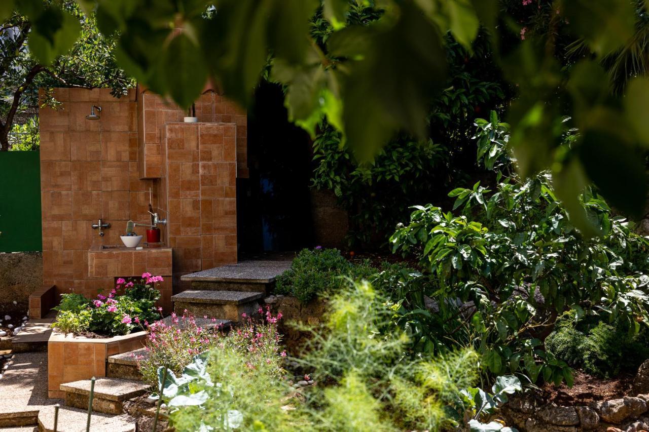 Garden Vista Apartment Dubrovnik Exteriör bild